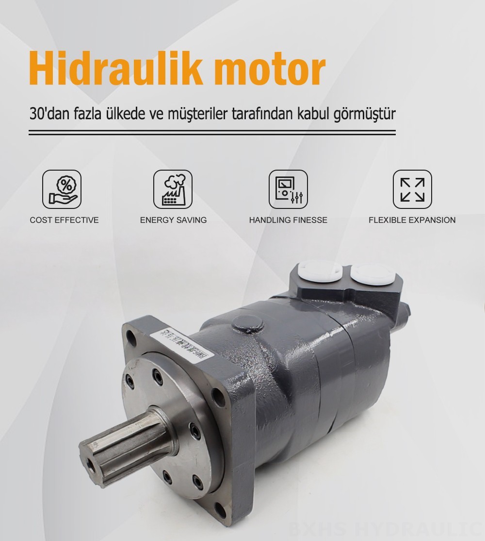 BM6_Sikloid Hidrolik Motor 195 cc/r 150 L/dakika hidrolik motor